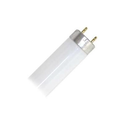 Philips 147710 - F32T8/ADV830/EW/ALTO 30WATT Straight T8 Fluorescent Tube Lig...
