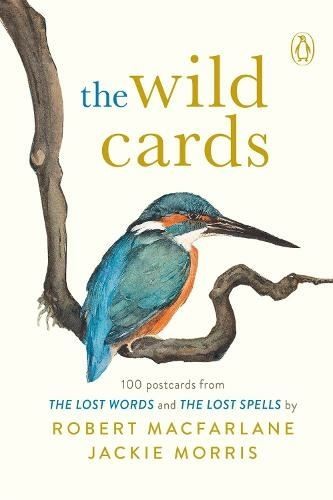 The Wild Cards: A 100 Postcard Box Set by Robert MacfarlaneJackie Morris | 2021 - Image 2