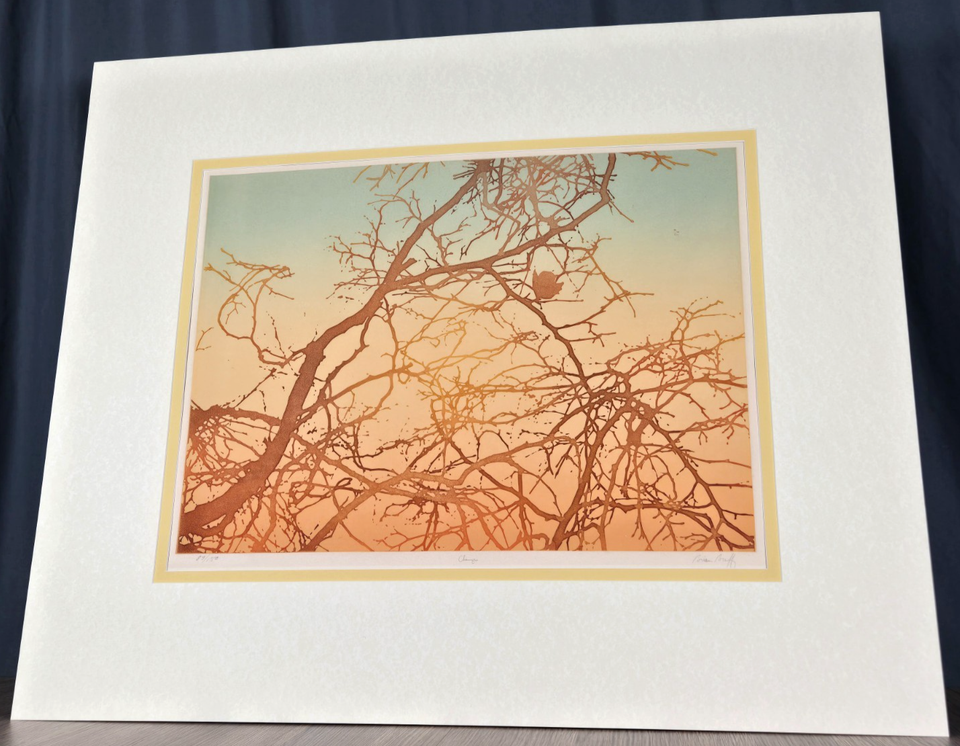 Brian Braff signed numbered print / etching titled