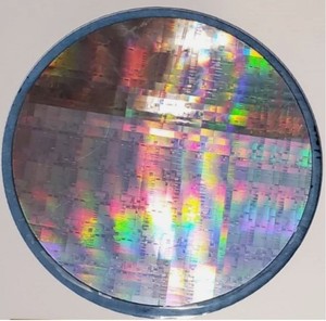 12" 300mm Silicon Semiconductor Wafer Specimen Diced Chips Educational Example
