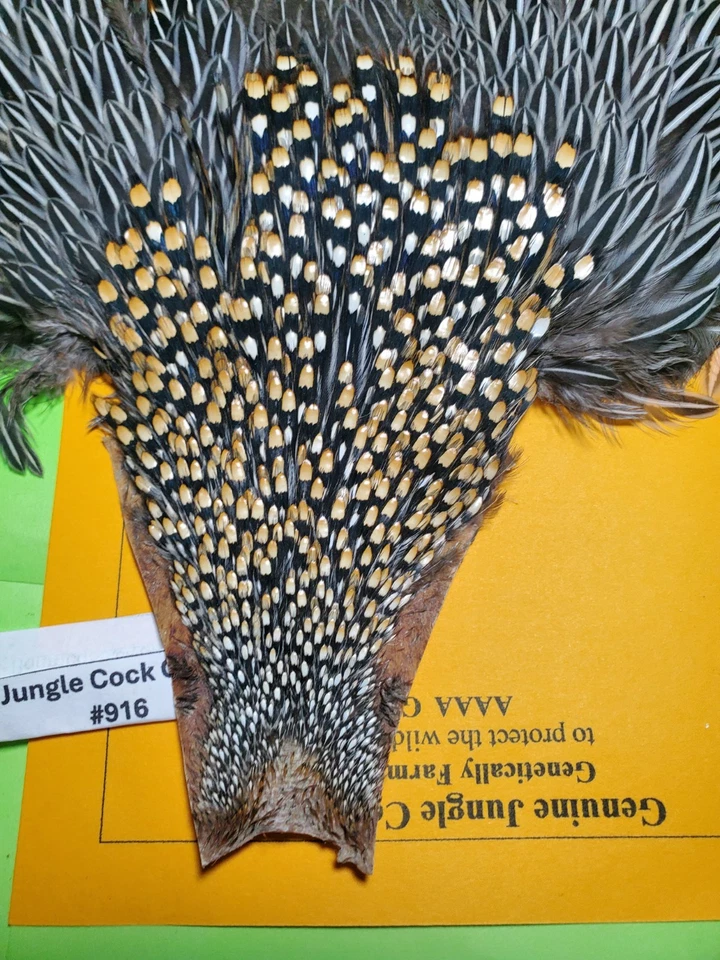 Jungle Cock Cape SUPER   AAAA 916 - Image 4 of 4