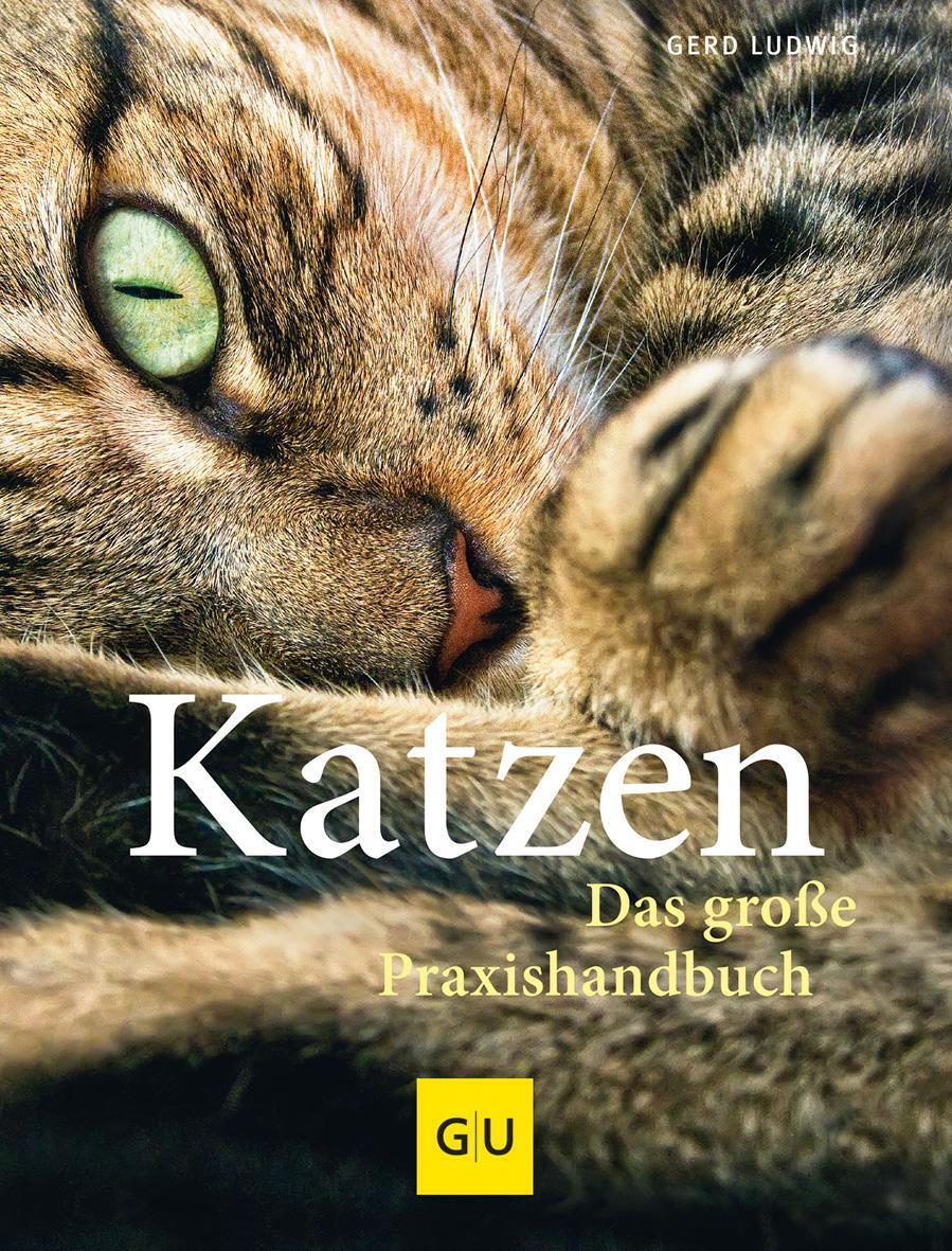 Katzen. Das Große Praxishandbuch Gerd Ludwig