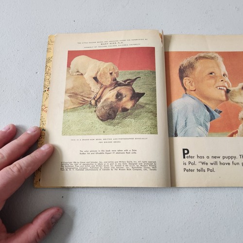Kumpel und Peter Ein kleines goldenes Buch Hardcover 1956 - Bild 5 von 8