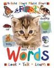 First Words by Rob Walker (Board book, 2015)