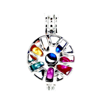 5PCS-L615 Beads Cage Record Diffuser Locket Light Silver Charm