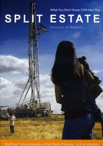 Split Estate (DVD) Ali MacGraw