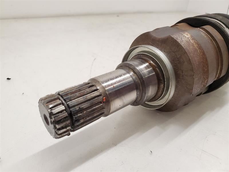 ララ Swingers (Olive Tortoise) – CHERRY LA