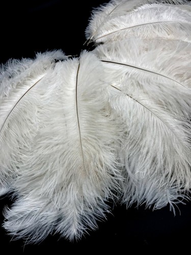 10 piezas - Pieza central de plumas corporales blanqueadas de avestruz blanco de 11-13" - Imagen 9 de 11