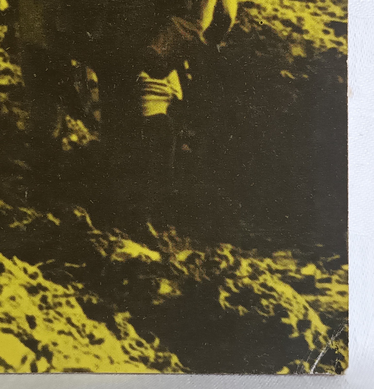 Picture 3 of 5