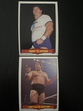 Don Muraco WWF 1985 O Pee Chee Series 2 Card# 17 And 21