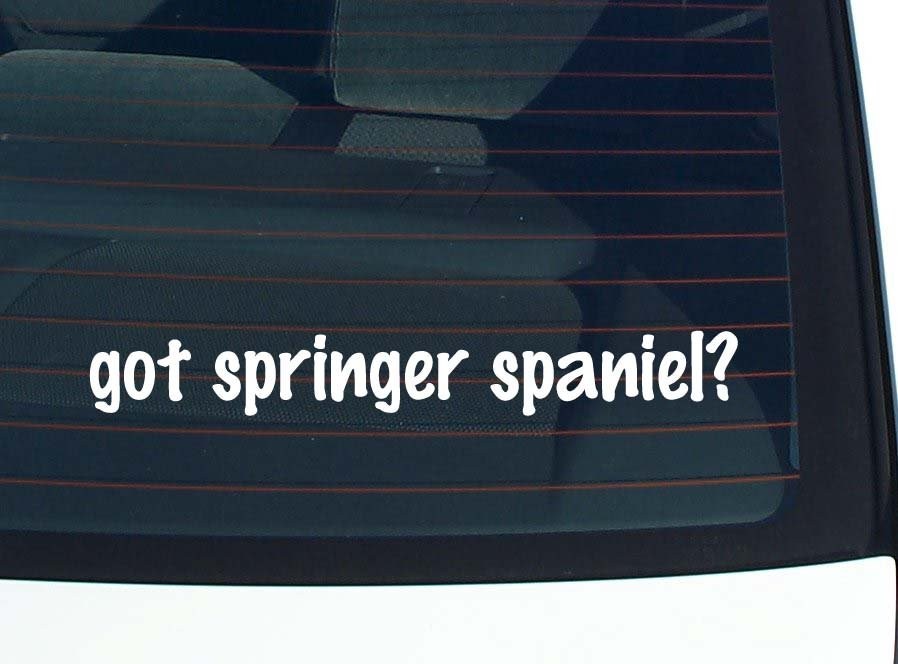 got springer spaniel? CAR DECAL BUMPER STICKER VINYL FUNNY JOKE WINDOW