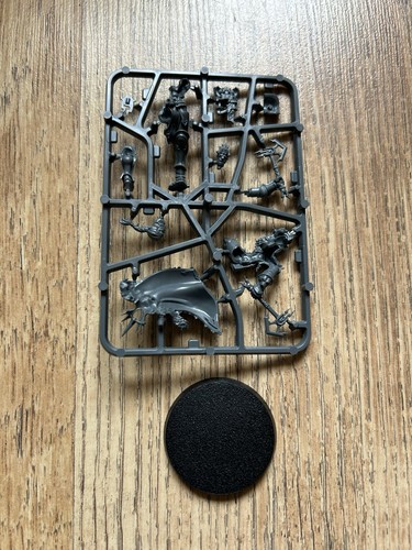 Age of Sigmar Stormcast Eternals Neave Blacktalon Knight Zephyros on Sprue