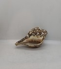 Picture 5 of 8