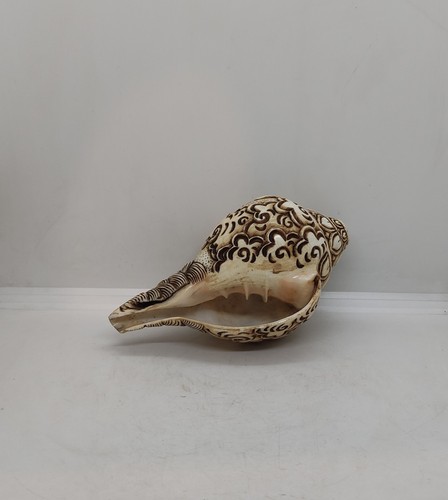 Goddess Saraswathi Ritual conch shell, Hand Carved Priest conch shell, ST - Picture 5 of 8