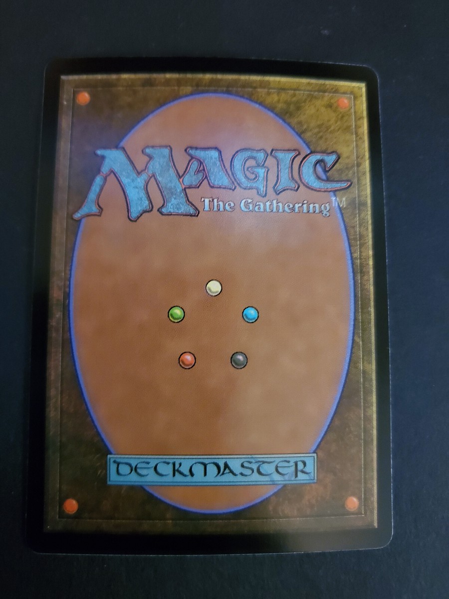 Forest (276) Full Art Duskmourn: House of Horror DSK MTG NM | eBay