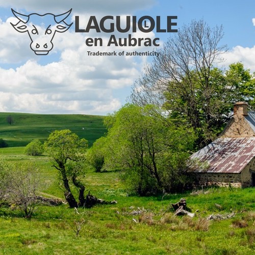 Navaja Laguiole Aubrac L0311OSISI 11 cm mango hueso sacacorchos cuchillo - Imagen 7 de 7