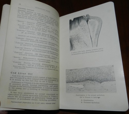 WELCOME'S EXCERPTA THERAPEUTICA. U.S. Edition 1934 Medicine. Pharmacology - Picture 6 of 10