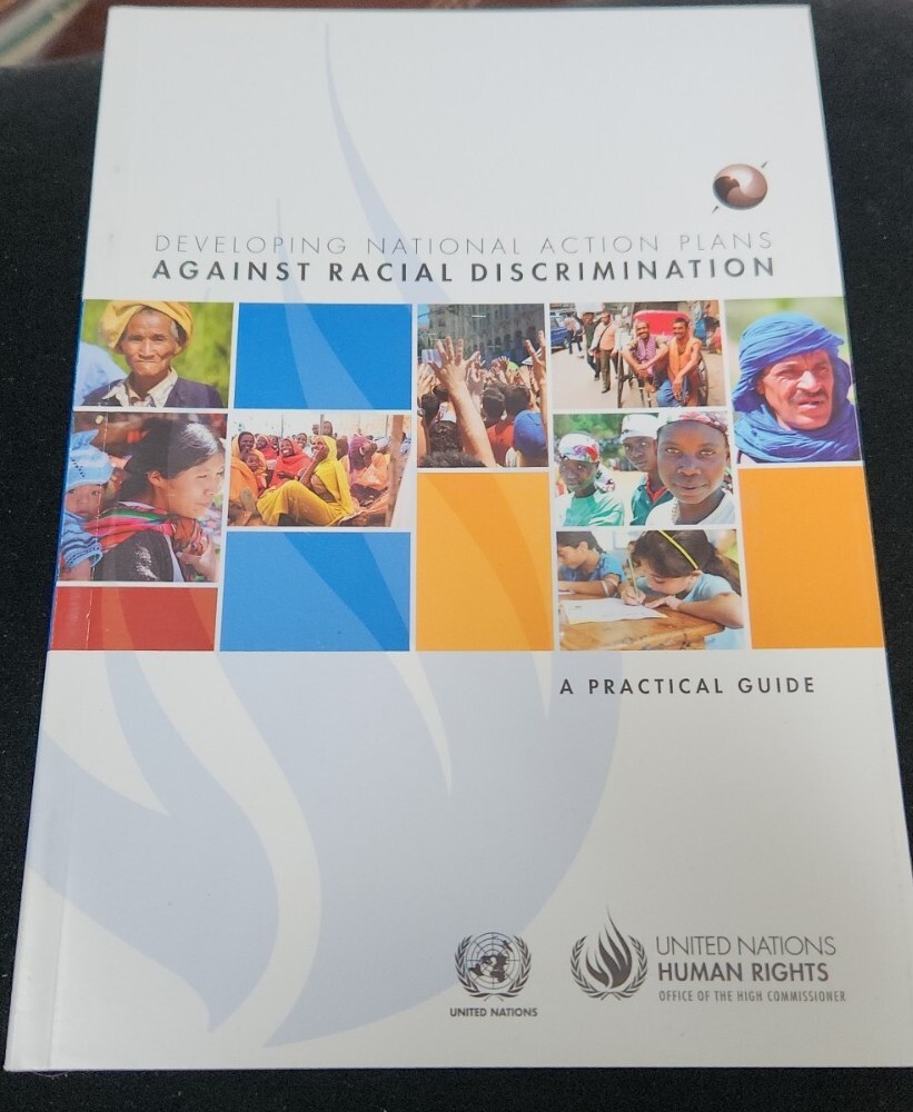 Developing National Action Plans Against Racial Discrimination : A ...