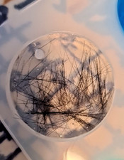 Tierhaare Andenken Charm Hund Katze Anhänger Kette Memorial Tierhaar  Handarbeit