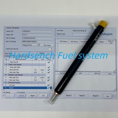 EJBR04601D R02601Z Diesel Fuel Injector for Ssangyong Rexton Kyron A6650170321