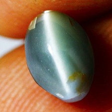  on The Hot Collector