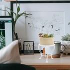 3 Count Pflanzen Regal Indoor Dekoration Für Zimmer Ästhetisches