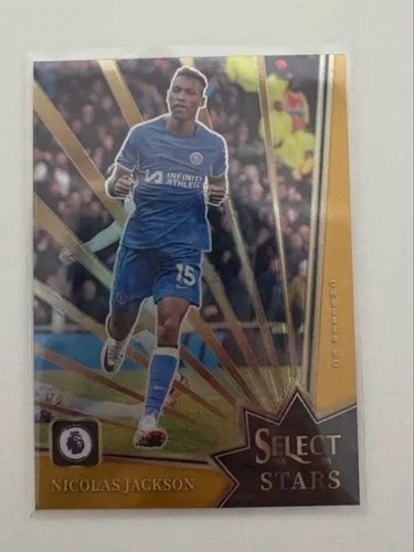 Nicholas Jackson Panini Select 10 Sil