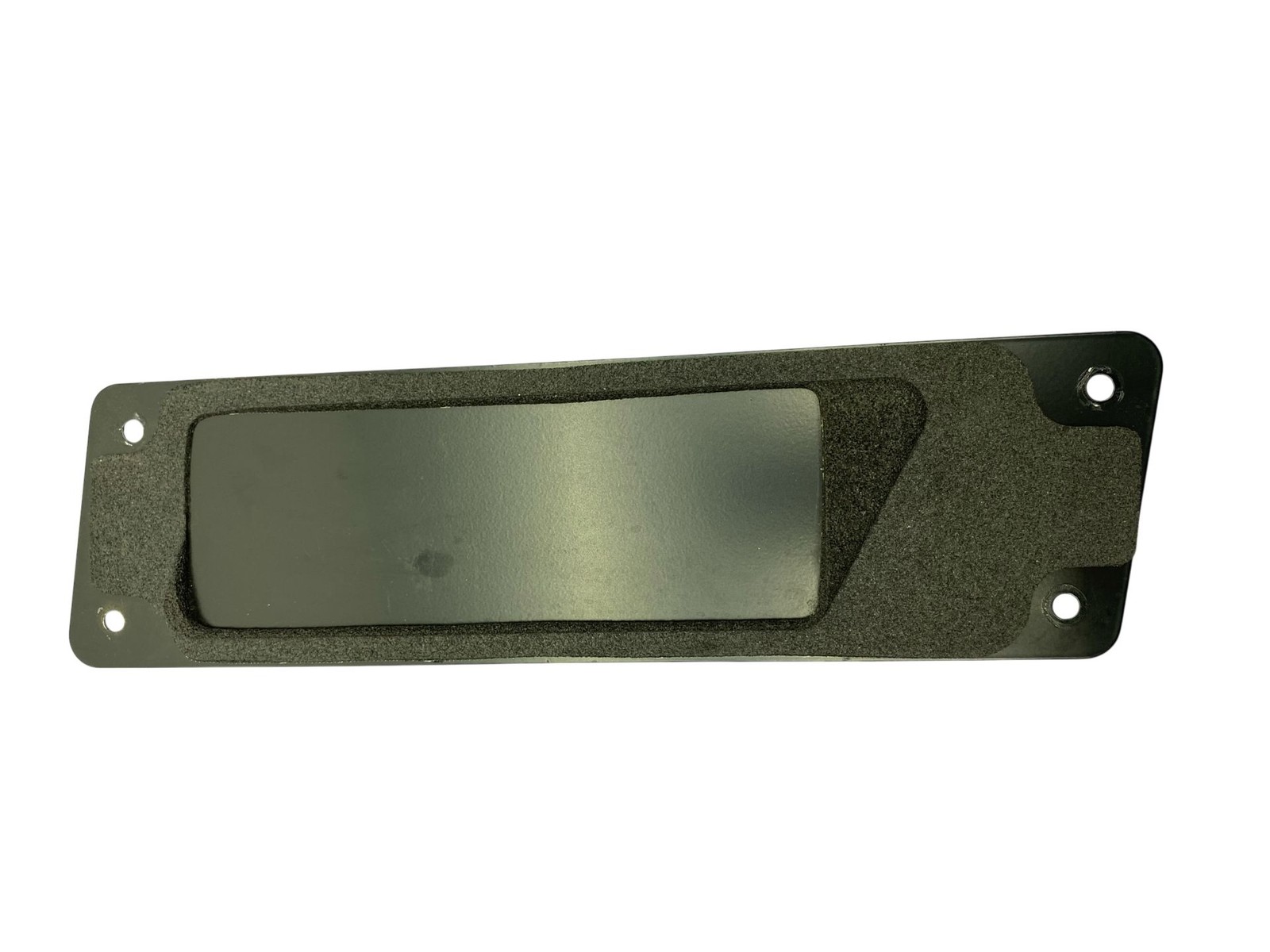 2010-2019 Aston Martin Rapide DDAJ FRONT RIGHT PASSENGER SIDE DOOR PLATE PANEL