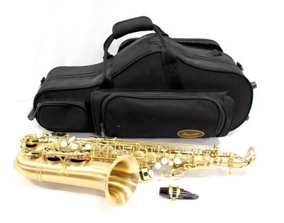 :) P. Mauriat LE Bravo Model 200 Alto Saxophone Kit - LEBRAVO200A - Gold Lacquer