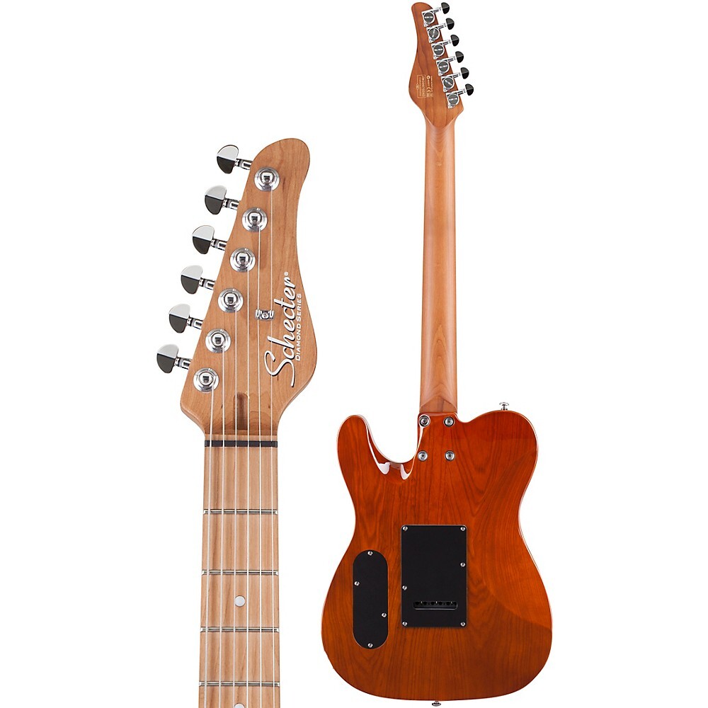 Pt van 2024 nuys schecter