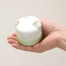 FUKAGAWA-SEIJI Omoi Goshi Young Leaf Small Keepsake Urn for Human Ashes