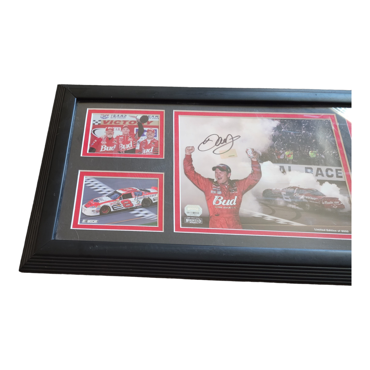 デイル　アンハート　シニア　NASCAR 直筆サイン入り写真(紙) Dale Earnhardt Jr Signed Framed NASCAR Photo Mounted Memories