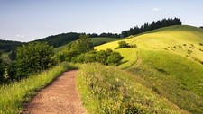 Landscape nature sky clouds trees plants forest path Custom Gaming Mat Desk