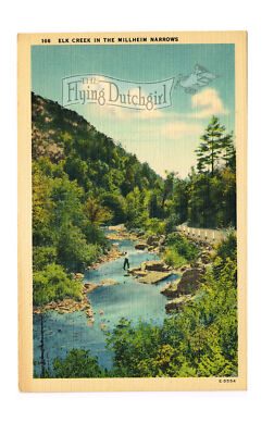 Vintage Linen Postcard - 1930's  ''Elk Creek in the Millheim Narrows''
