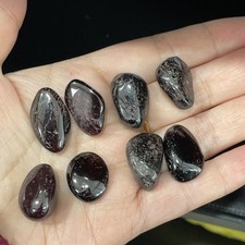 8Pcs Rare Natural Red Garnet CrystalGemstone Polished Stone Specimen 50g A1130