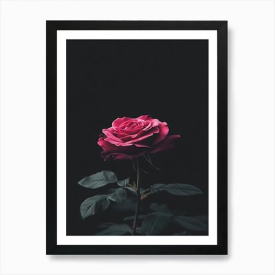 Black Rose 8 Art Print Framed Wall Art Poster Canvas Print Picture