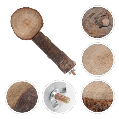 Pet Bird Standing Gangplank Cockatiel Toys Parrot on The Bar eBay