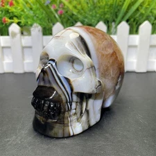 1.4LB 3.9" Natural Black Lace Sardonyx Skull Carving Crystal Quartz Energy Reiki