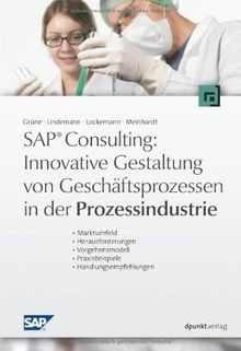 SAP   Consulting: Innovative Gestaltung von Geschäf... | Buch | Zustand sehr gut