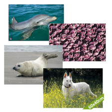 Schreibtischunterlage Schreibunterlage Veloflex Tiere Motiv 60x40cm abwaschbar