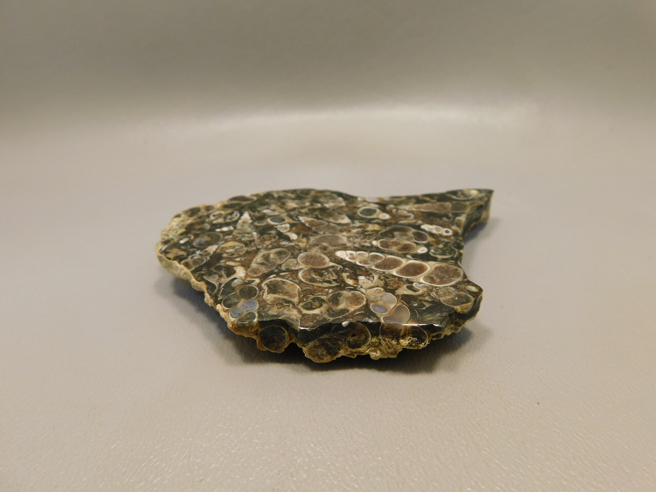 Picture 4 of 5