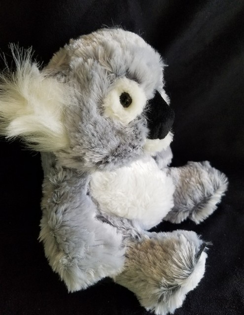 Webkinz Koala bear brand new with sealed tag. for sale online