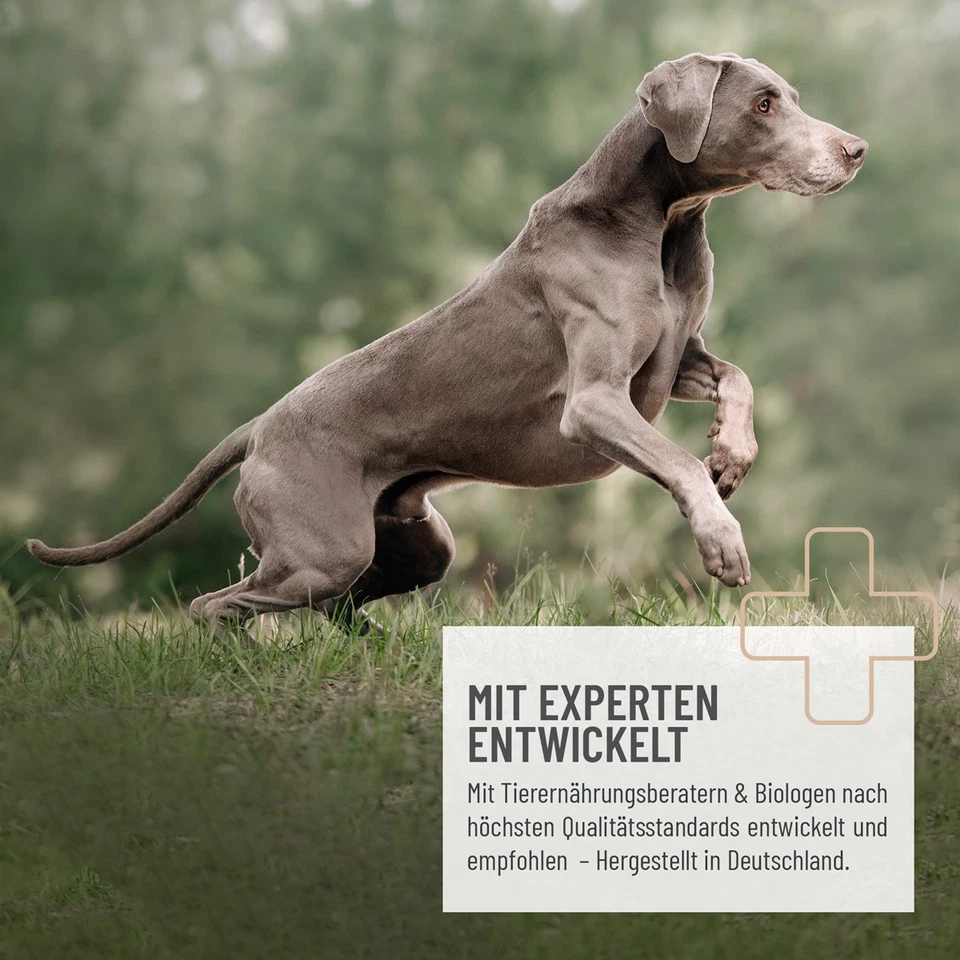 REAVET Heilmoor für Hunde 1,3kg Verbessert die Kotbeschaffenheit, Verdauung - Bild 3 von 4