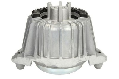 vorne links REINHOCH RH11-3035 Lagerung, Motor für MERCEDES-BENZ