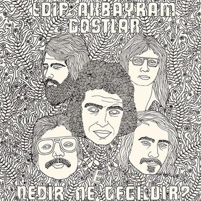 EDIP AKBAYRAM & DOSTLAR Nedir Ne Degildir? Music CDs New