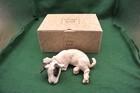 A Breed Apart (Country Artists) English Bull Terrier 70211 new