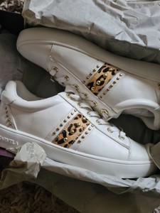 carvela trainers size 6