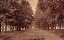Princeton Illinois~Tree-Line Dirt, Elm Street~Home? w/Columns Peeks Through 1911