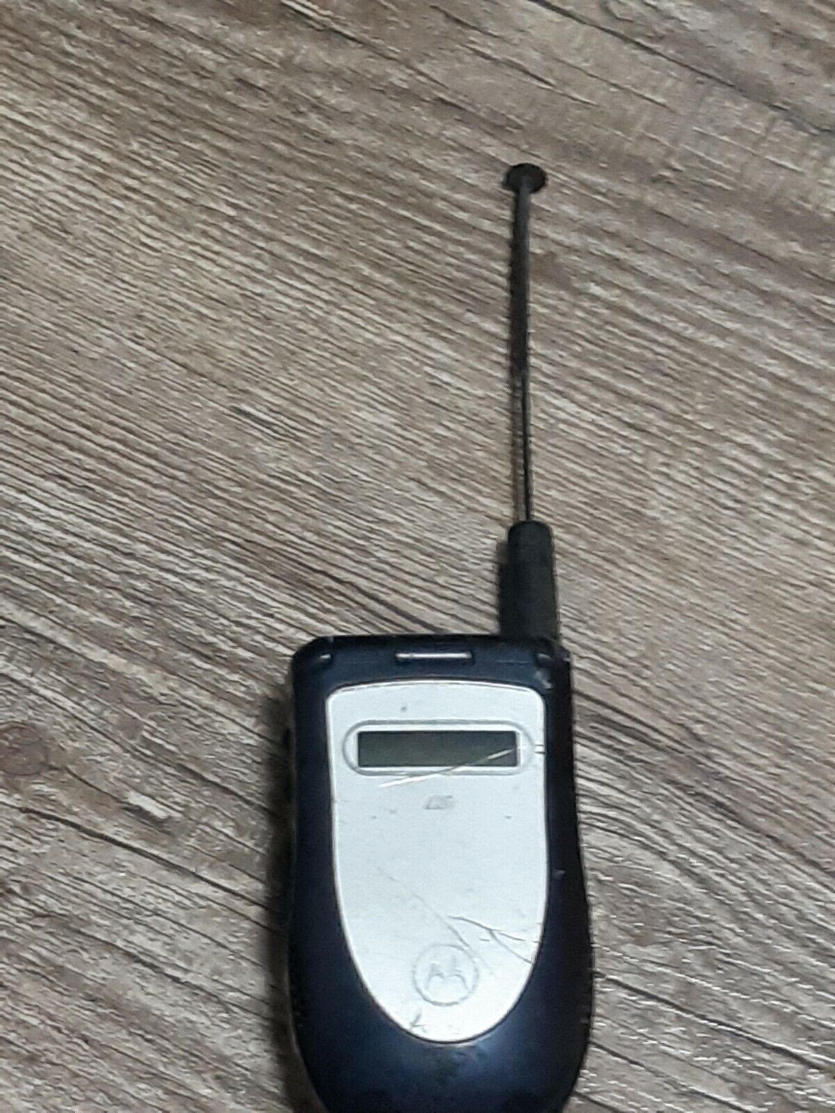 Picture 8 of 8