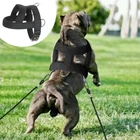 Strong Dog Weight Pulling Training Harness Vest Heavy Duty Rottweiler Pit Bull